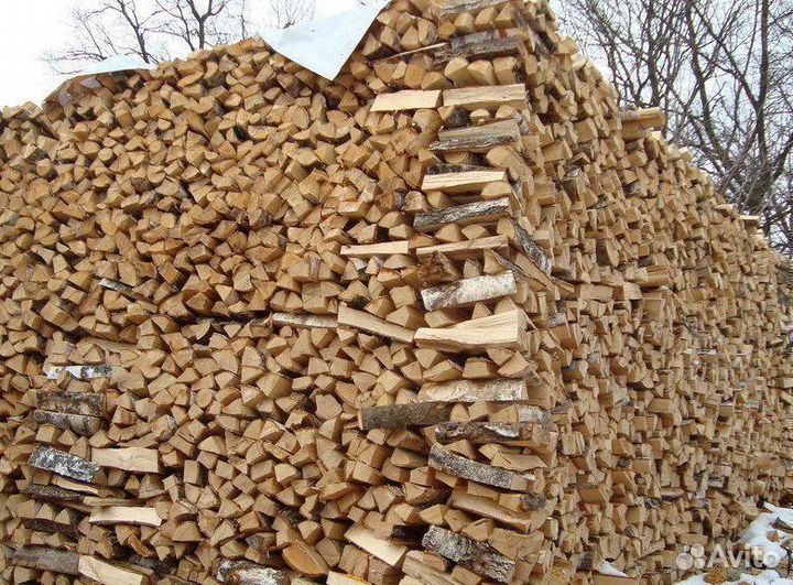 Дрова береза