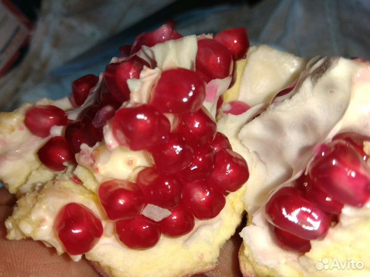 Саженец граната