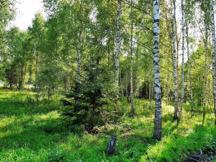 Участок 20 сот. (ИЖС)