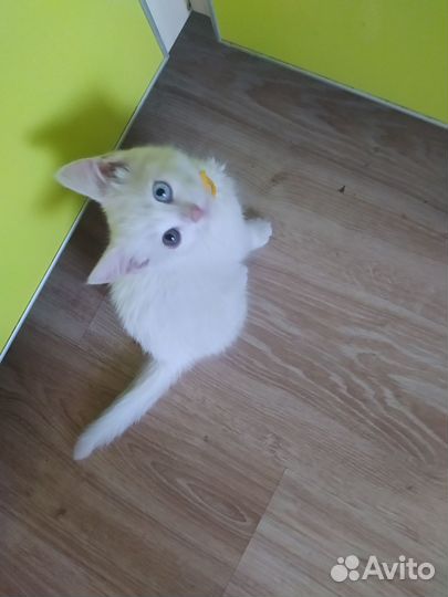 В самые добрые ручки