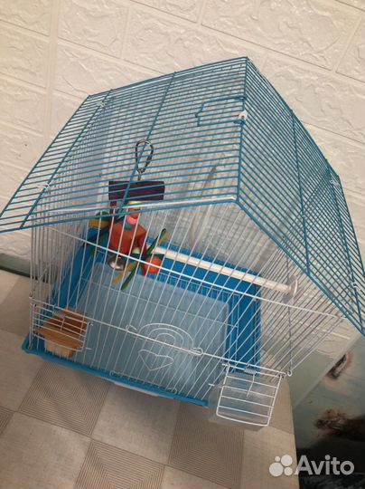 Клетка для попугая