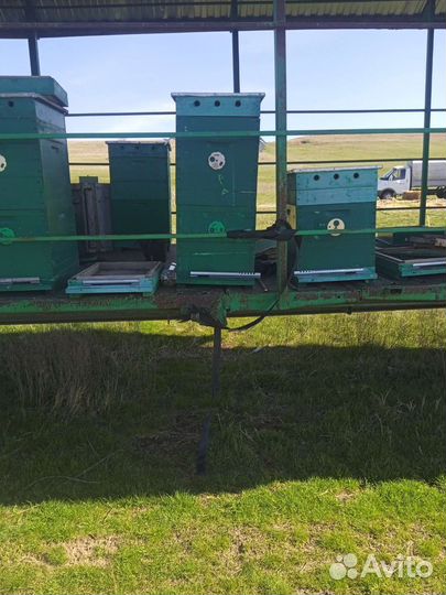 Ульи для пчел бу