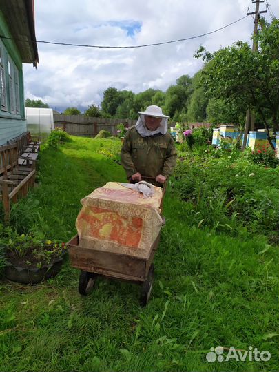 Мед с пасеки в Бежецком р-не