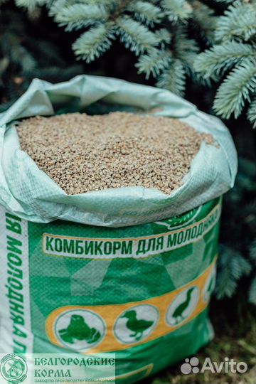 Комбикорм пк5 для цыплят бройлеров