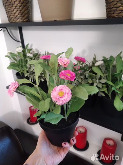 Декоративные цветы Икея/ IKEA fejka