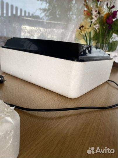 Инкубатор для 64 яиц автоматический IC-64, 220/12