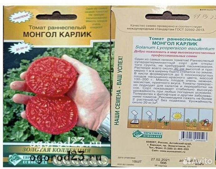 Томат монгольский карлик