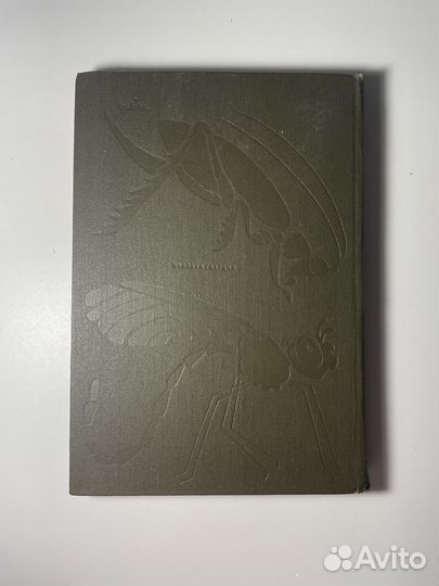 Книга «Мир животных» Акимушкин про насекомых