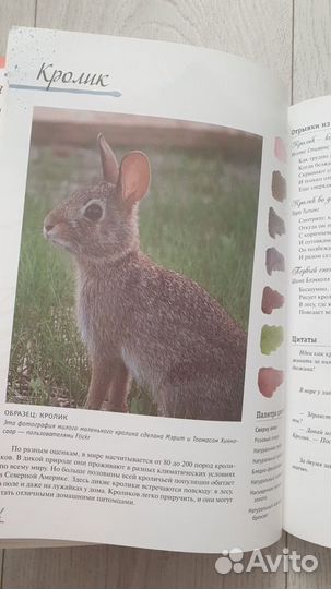 Книги по рисованию