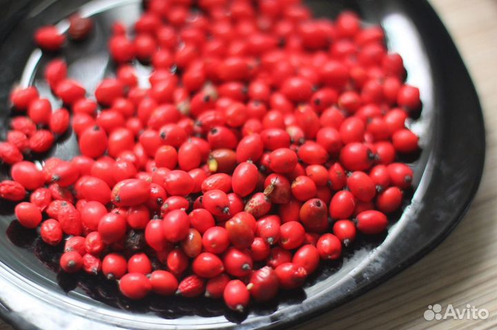 Дерен цветущий/Циноксилон цветущий/семена