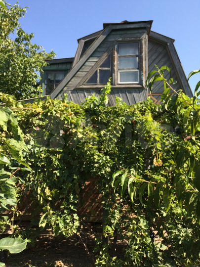 Садовое товарищество буровик. Дом в астраханской области. Авито астрахань дача. Авито астрахань дача. Астраханский область садовое товарищество.