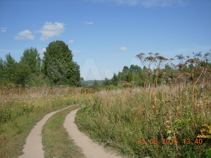 Участок 50 га (СНТ, ДНП)