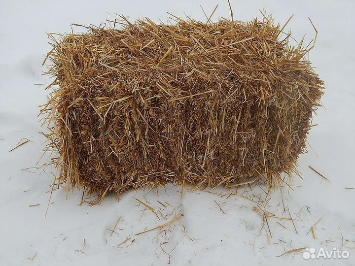Сено люцерны суданки солома