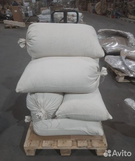 Семена ели обыкновенной