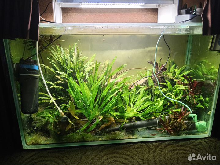Аквариум