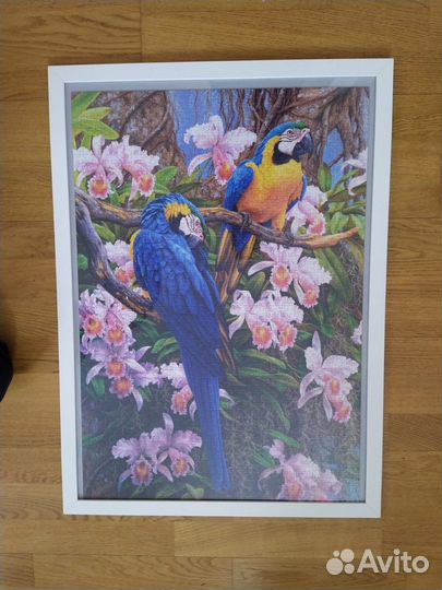 Картина из пазлов попугаи