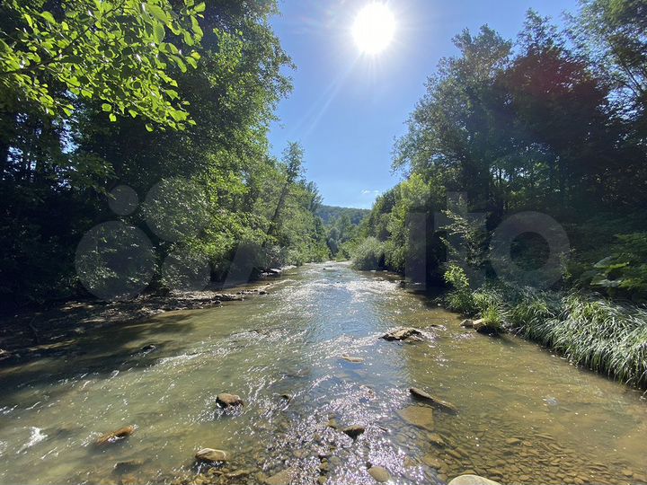 Участок 24,3 сот. (СНТ, ДНП)