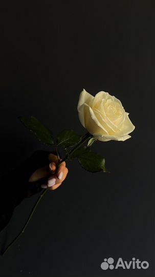 Цветы с доставкой