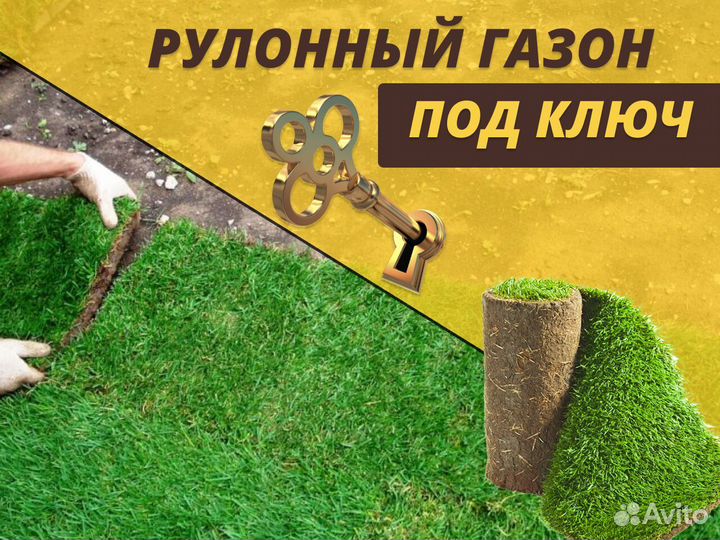 Рулонный газон укладка спортивный