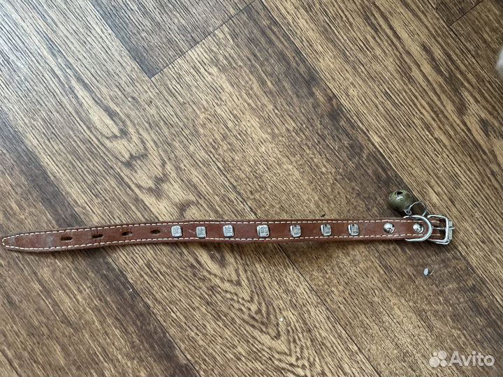 Ошейник для маленькой собачки