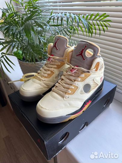 Nike Air Jordan 5 off white