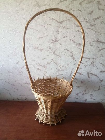 Цветы комнатные