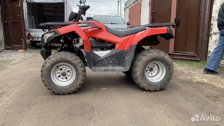 Квадроцикл Wels bison 225