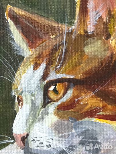 Рыжий кот Картина с котами акрилом