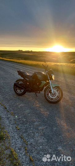 Recer nitro 250