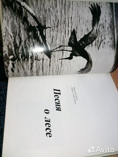 Валек М.и др. Песня о лесе. фотоальбом. 1984г