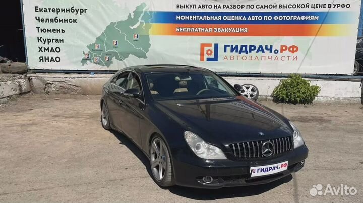 Подушка безопасности двери задней левой Mercedes-Benz CLS-Class 500 (W219) 2038600105