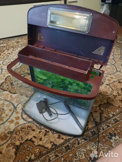 Аквариум