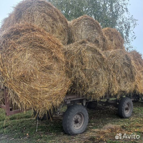 Сено солома в рулонах