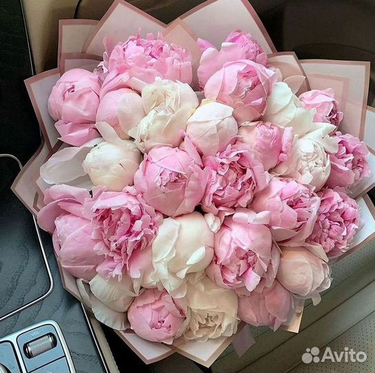Пионы Цветы Доставка