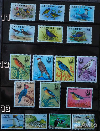 Марки фауна птицы не гашеные