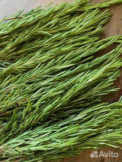 Гидролат розмарина