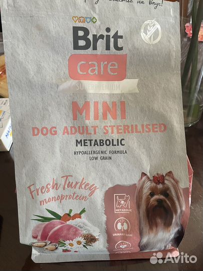 Сухой корм для собак