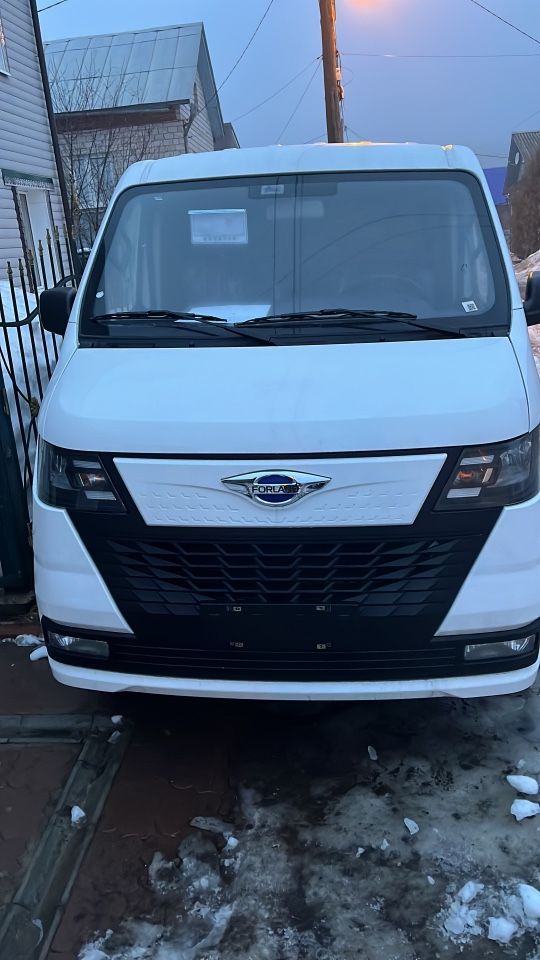 Foton EV6