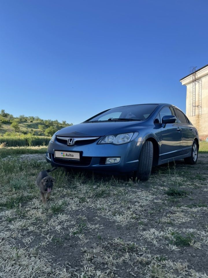 Honda Civic: фото владельца