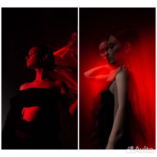 Фотограф, студийная фотосессия, съемка со змеей