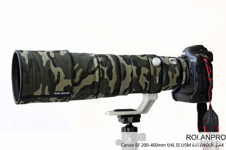 Canon EF 200-400mm f/4L IS USM Extender