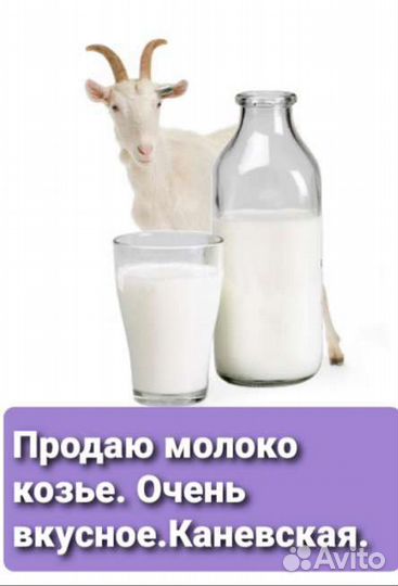 Продам козье молоко
