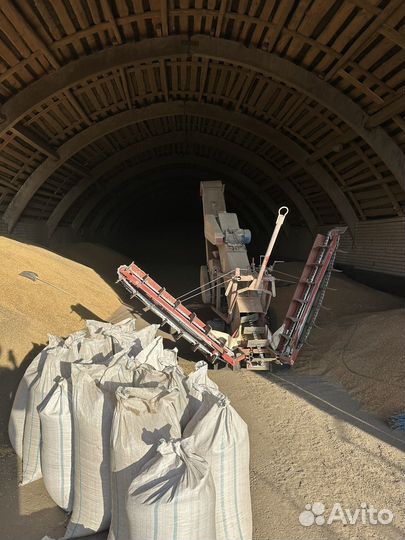 Кукуруза кормовая фасованная