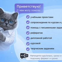 Школьный и индивидуальный проект для колледжа, Каменка