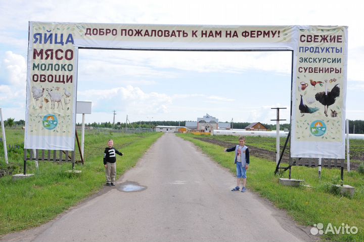 Продам фермерское хозяйство