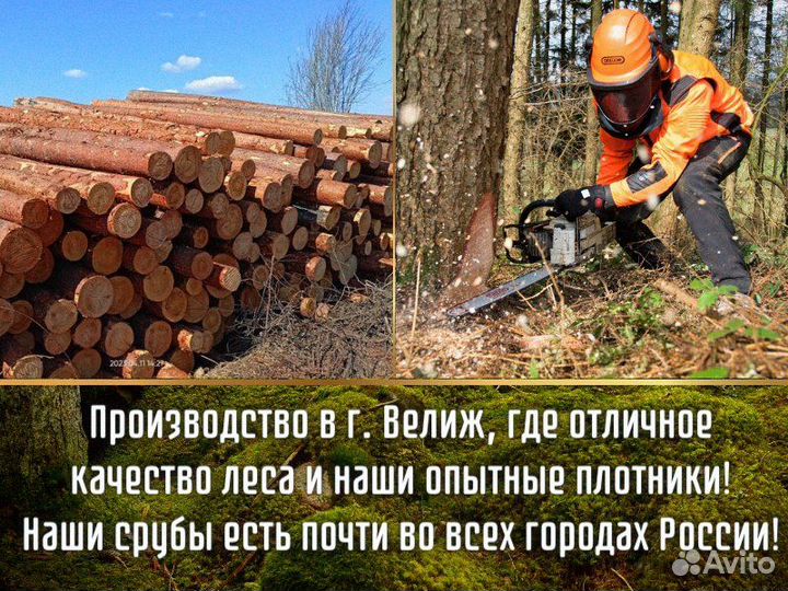 Сруб дома из бревна ручной рубки не бруса 8x9