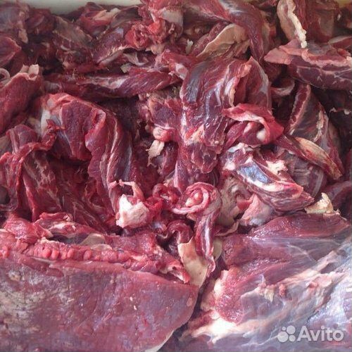 Конина для собак мясо