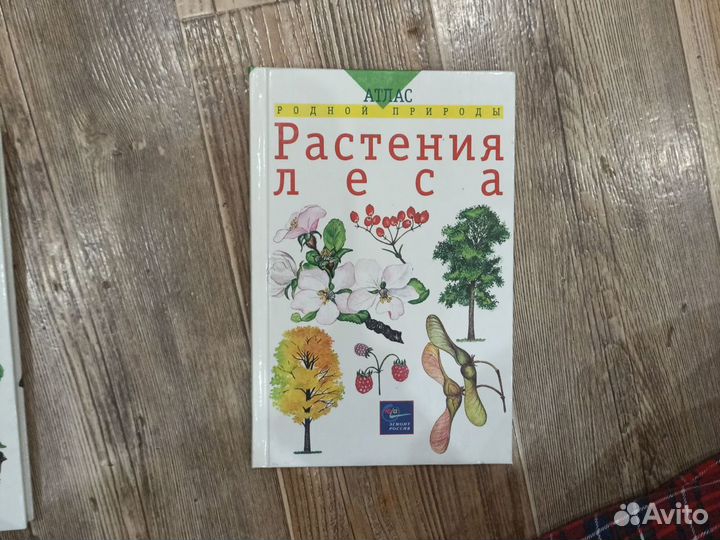 Атласы родной природы : птицы / растения