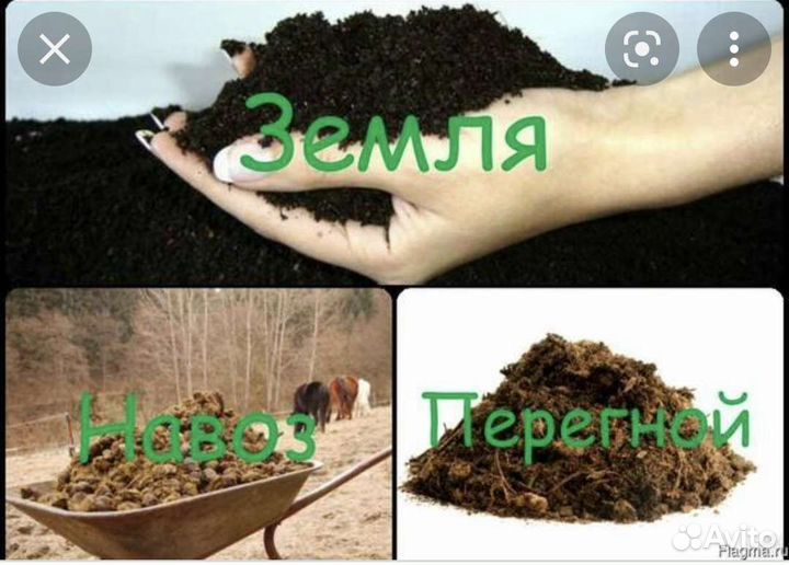 Продажа навоз перегной
