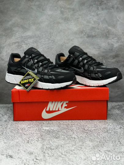 Мужские зимние кроссовки Nike air P-6000